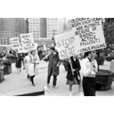 Show Peace Pickets, 1960s Image