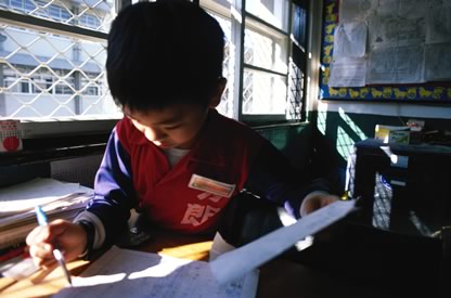 A very young administrator working at desk